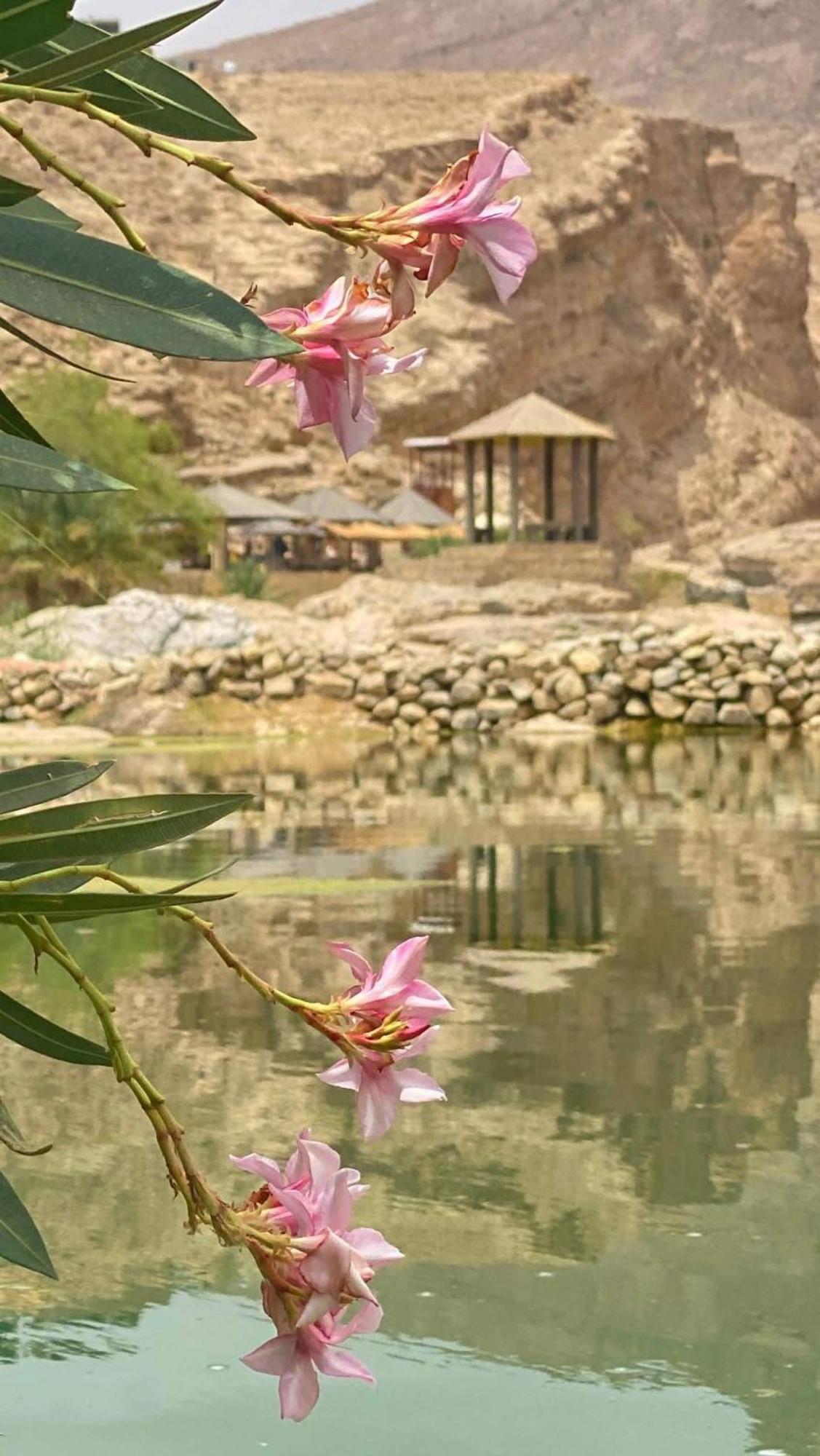 Wadi Bani Khalid - Al Joud Green Hostel Dawwah Kültér fotó